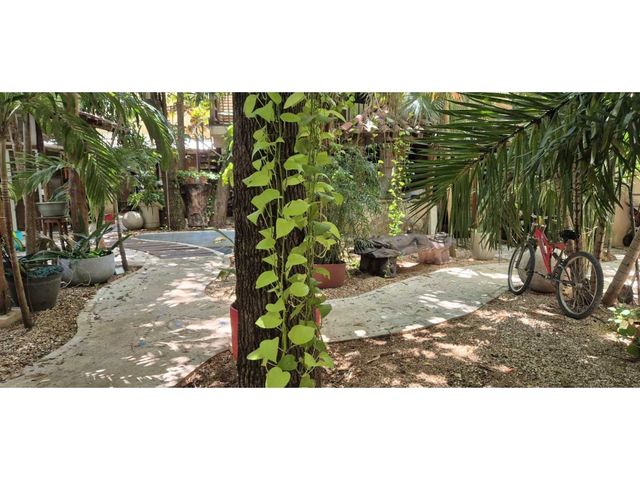 place photo 11