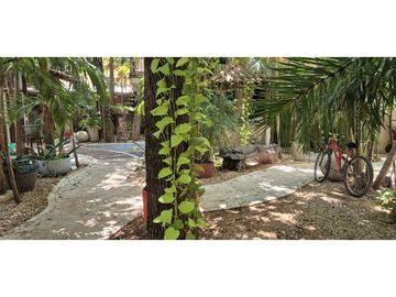place photo 11
