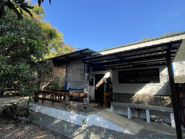 place photo 42