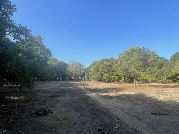 place photo 43