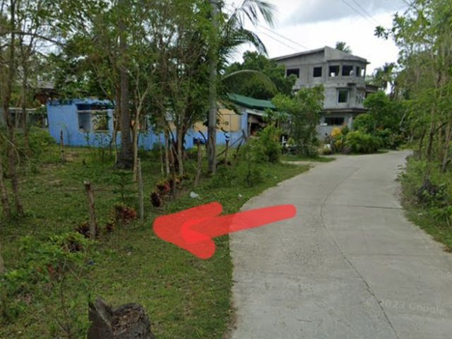 Lot near Laiya Beach. Good for air bnb.