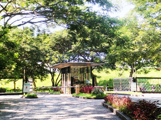 place photo 4