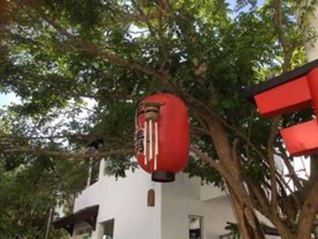place photo 25