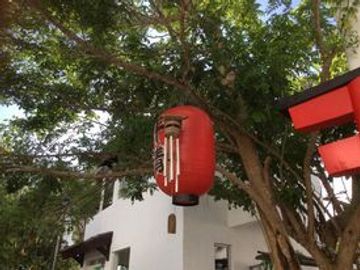 place photo 25