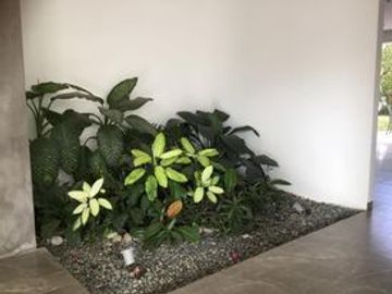 place photo 30