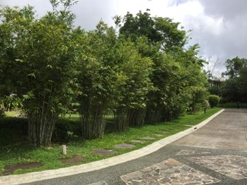 place photo 31