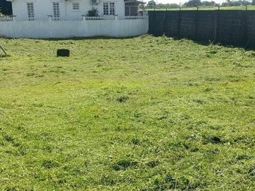 place photo 26