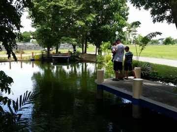 place photo 18