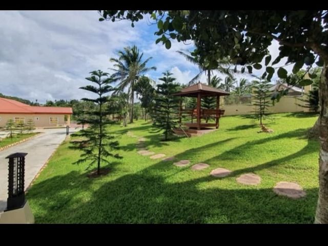 place photo 16