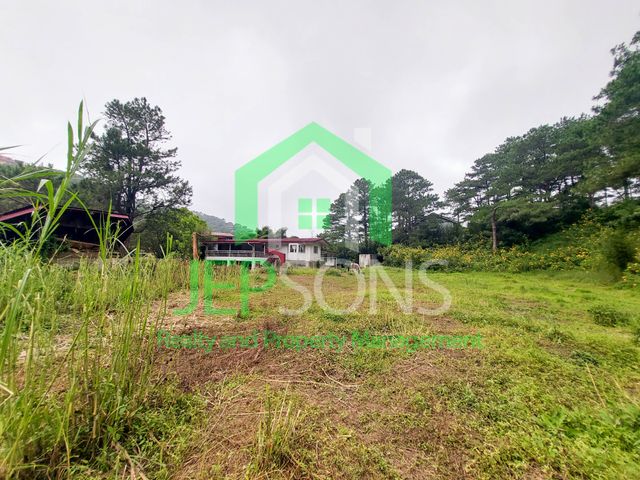 place photo 22