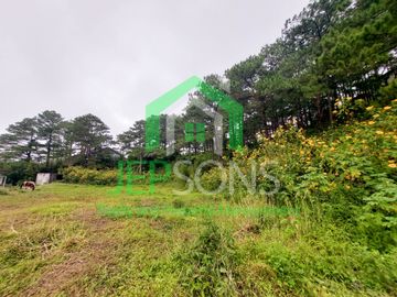 place photo 23