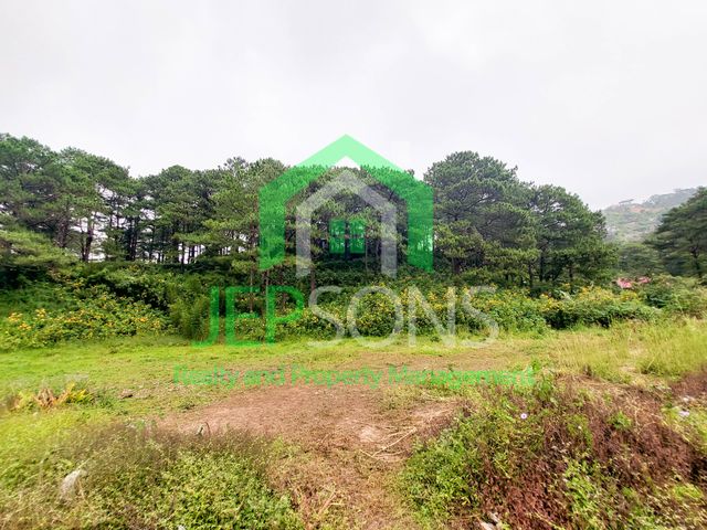 place photo 15