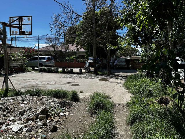 place photo 20