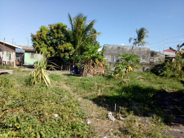place photo 13