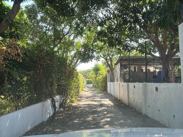 place photo 18