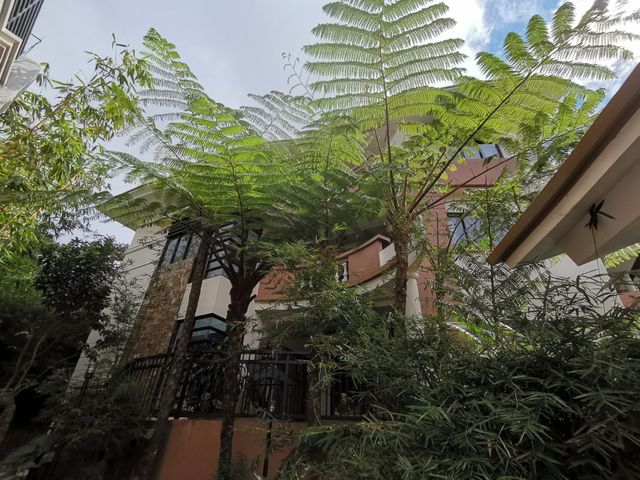 place photo 42