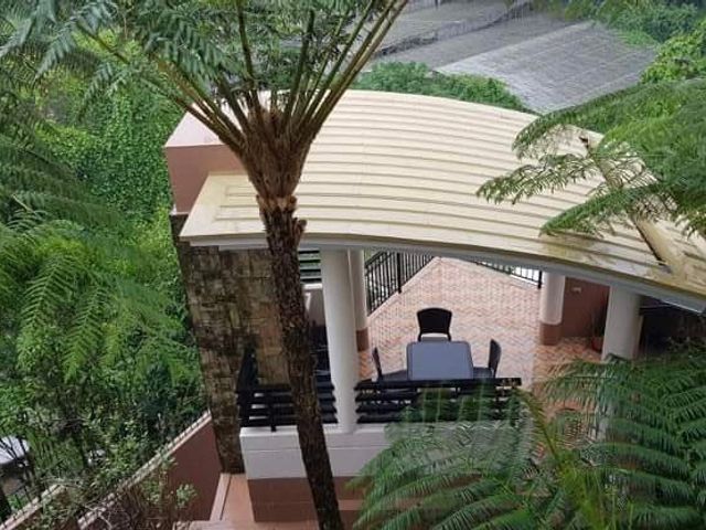 place photo 38