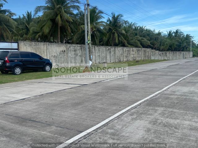 place photo 20