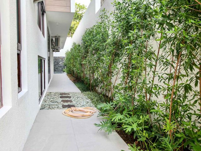 place photo 44