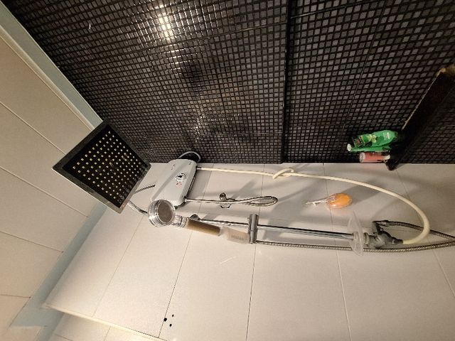 place photo 19