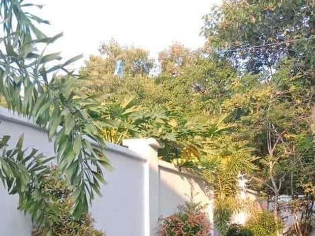 place photo 35
