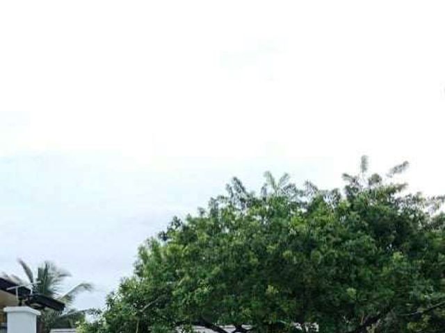 place photo 49
