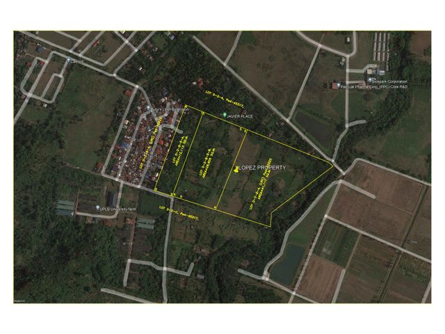 LOT FOR SALE BESIDES U.P LOS BAÑOS LAGUNA