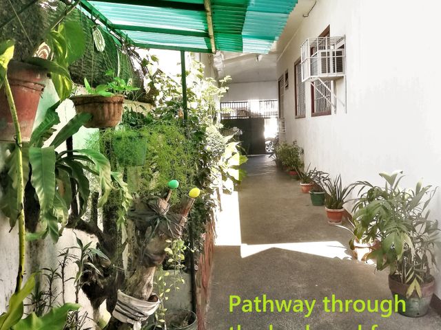place photo 42