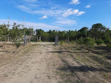 place photo 18