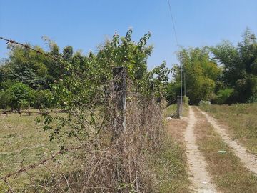 place photo 20