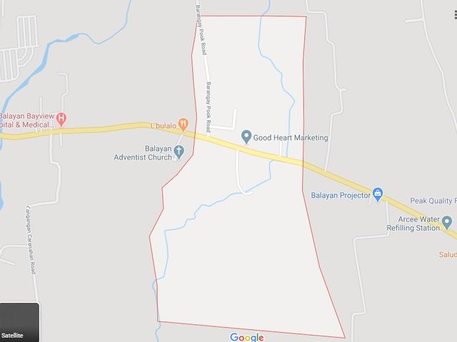 2,126 sqm Vacant Lot for sale in Balayan, Batangas