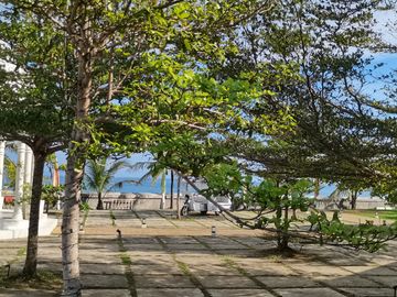 place photo 41