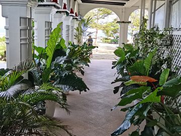 place photo 39