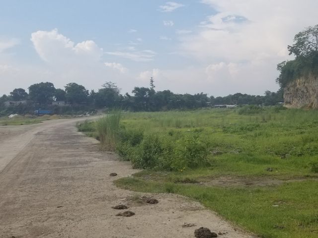 place photo 38