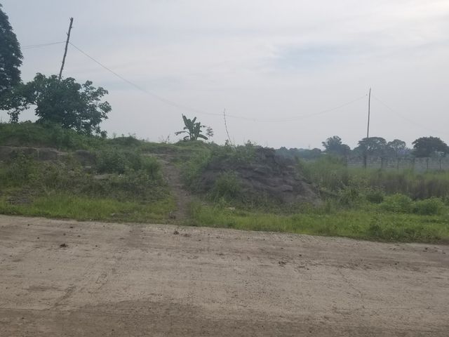 place photo 34