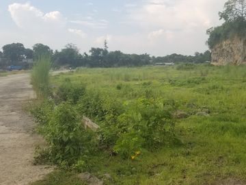 place photo 39