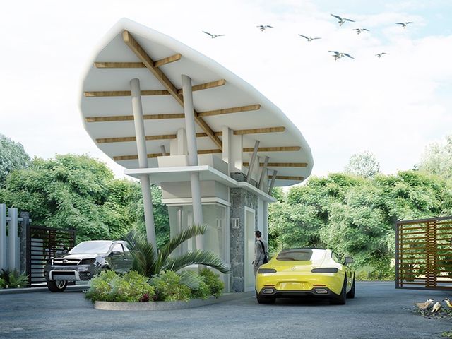 place photo 38