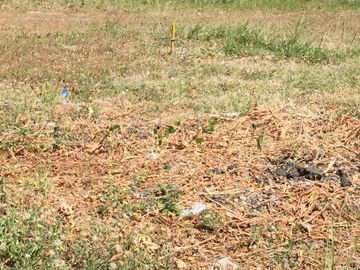 Prime Residential Lot for Sale in Prestigious Ayala Southvale Village, Bacoor