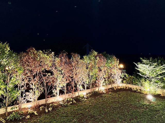 place photo 37