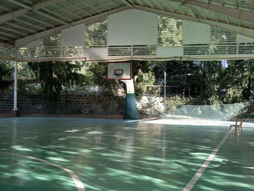 place photo 11