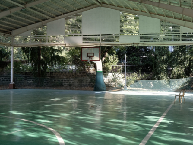 place photo 11