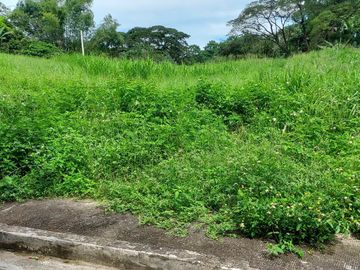 Lot For Sale at Village East Binangonan