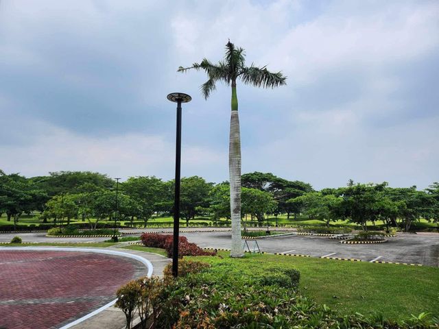 place photo 50