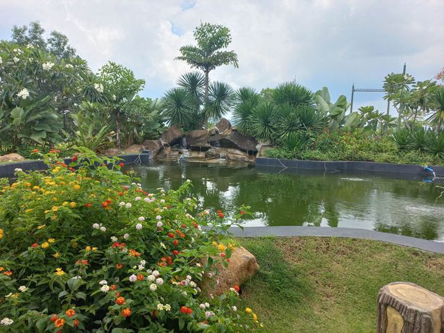 place photo 13