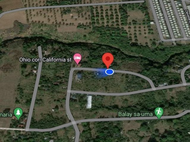 place photo 9