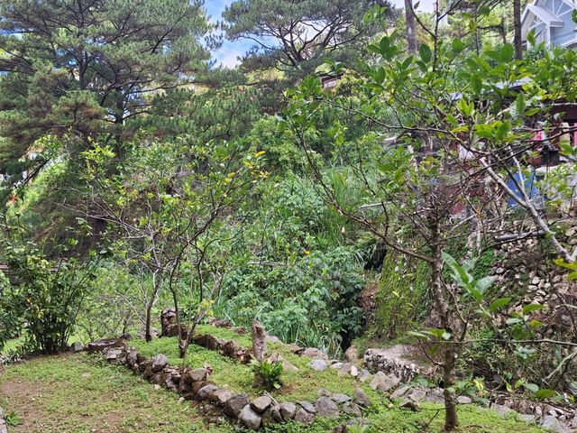place photo 30