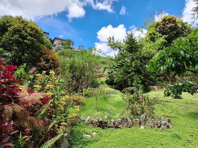 place photo 38