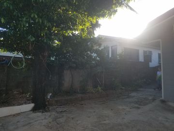 place photo 44