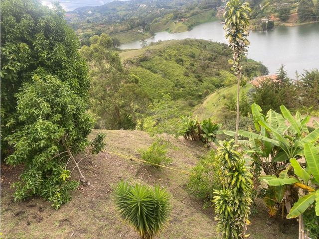 place photo 51
