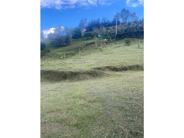 place photo 72
